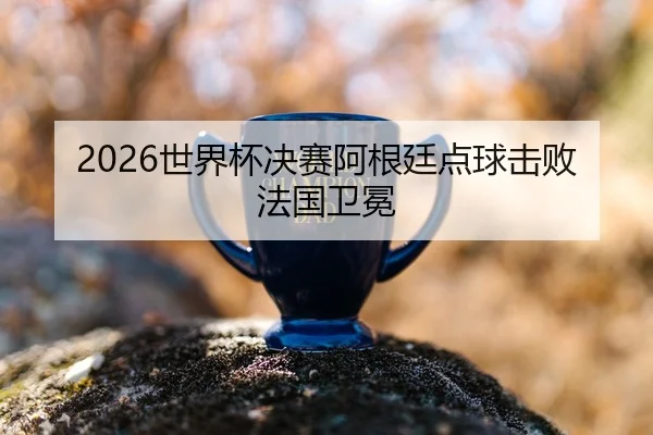 shi-jie-bei-jue-sai-a-gen-ting-dian-qiu-ji-bai-fa-guo-wei-mian-2-104.jpg